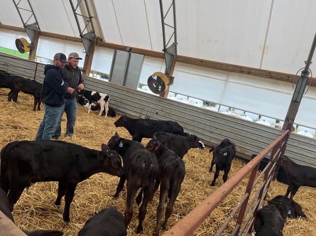 Images Profectus Livestock Solutions