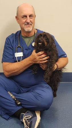 Images VCA Far Country Animal Hospital