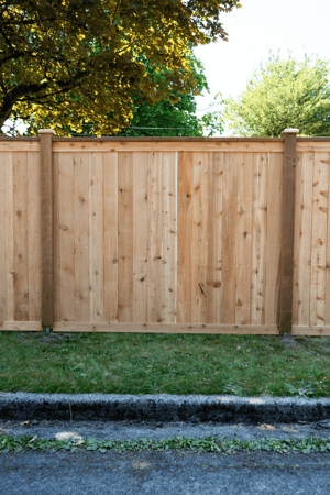 Images Rare Bears Fencing