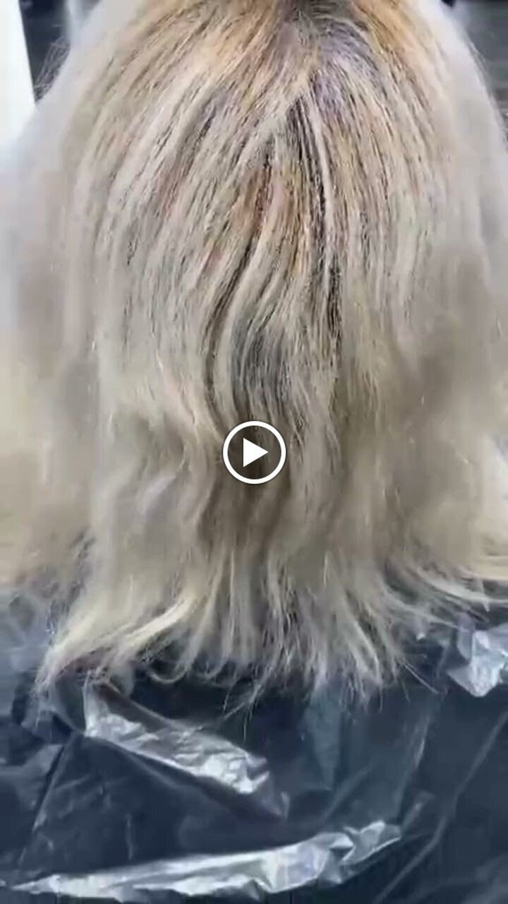 Bejona Natural Hair Studio - Friseur München Pasing - Locken & Balayage, Ebenböckstraße 27 in München