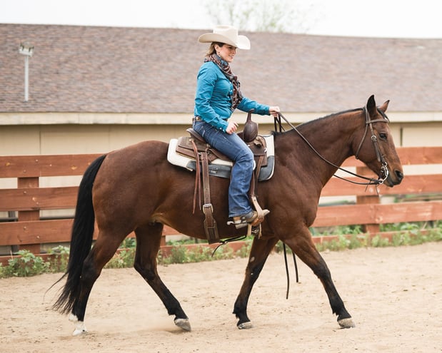 Images Equine Coach, LLC