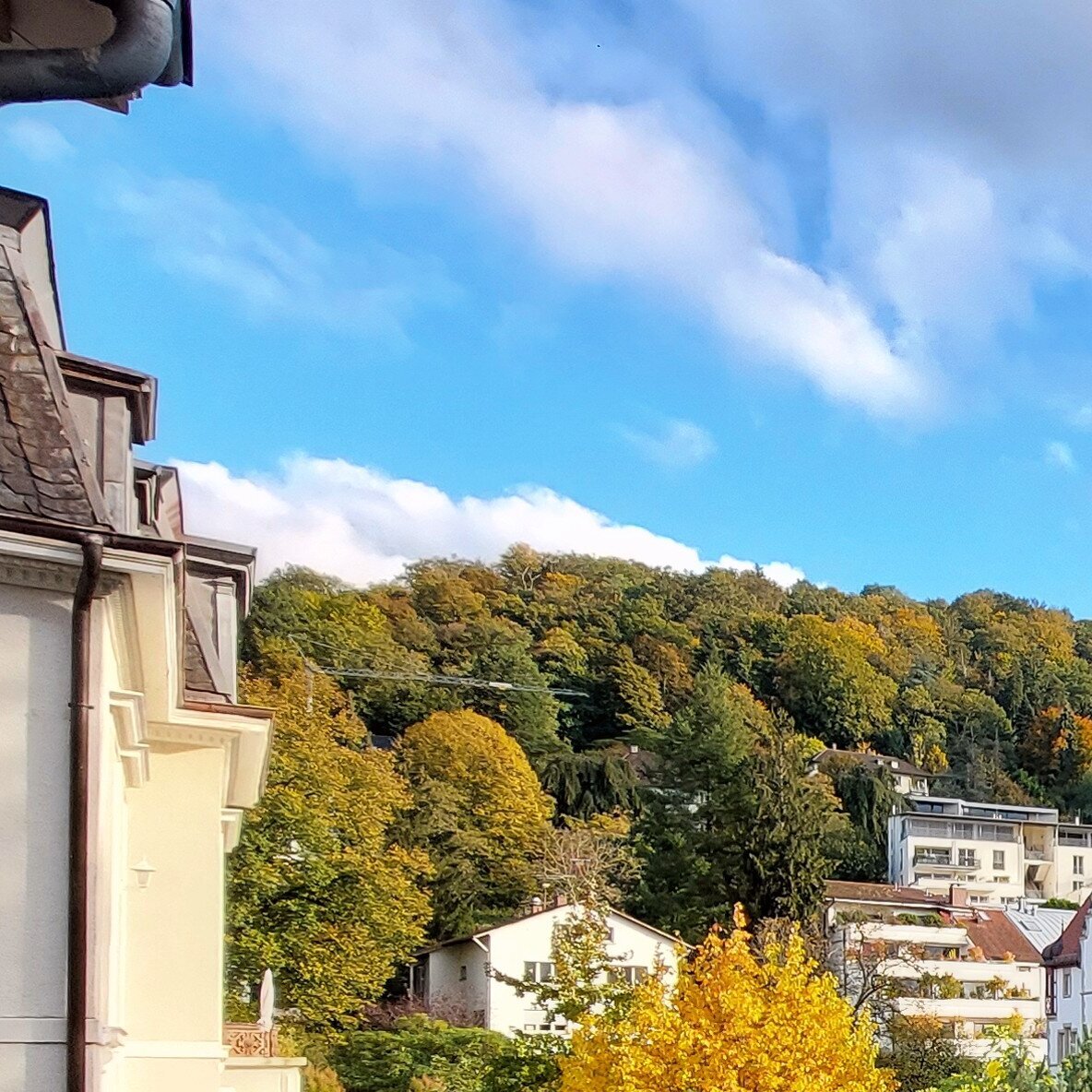 Mirco Maurer IMMOBILIEN, Edinburghplatz 40 in München