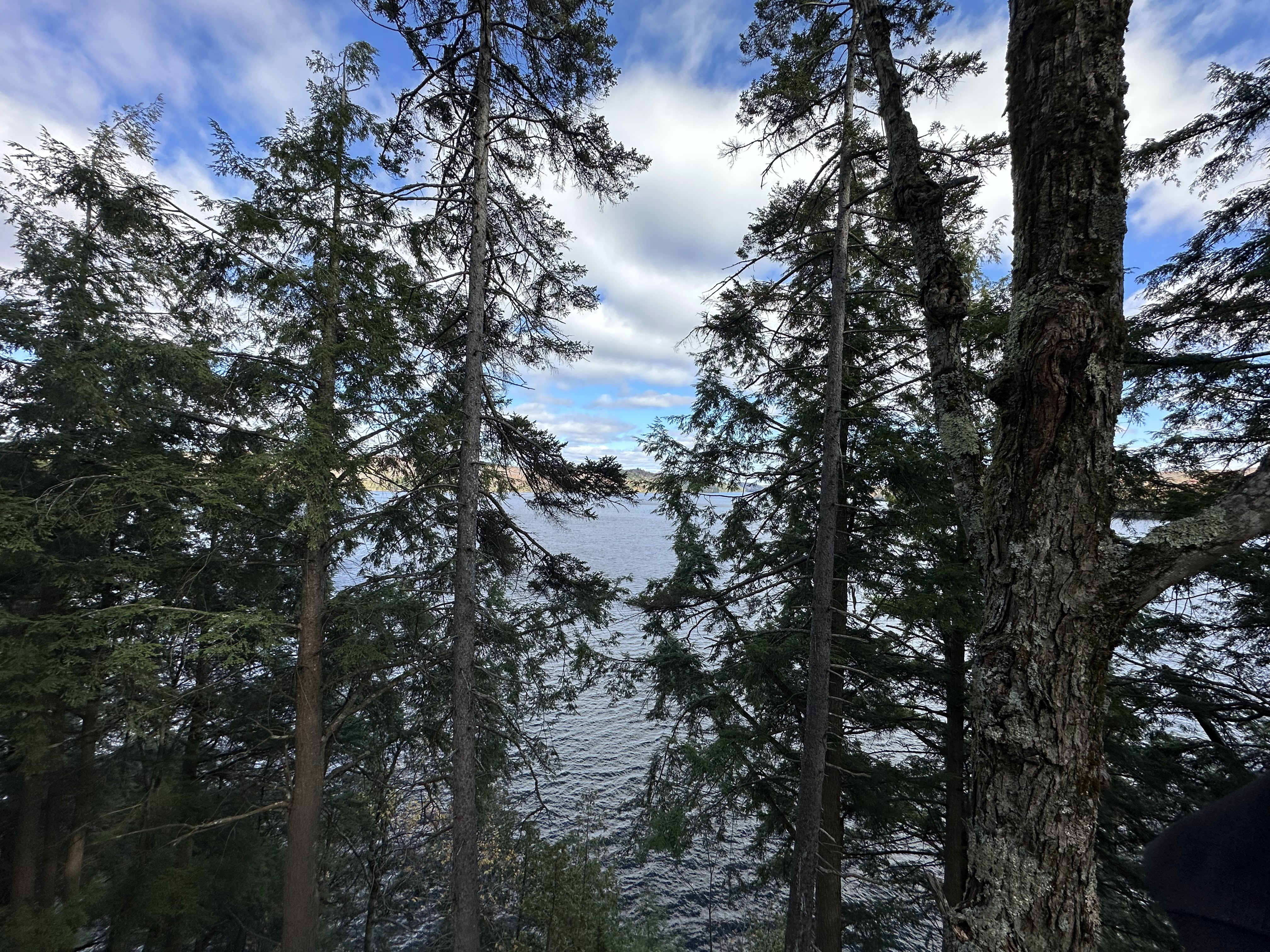 Images Altitude Abattage - Services d'arbres, Élagage, Émondage