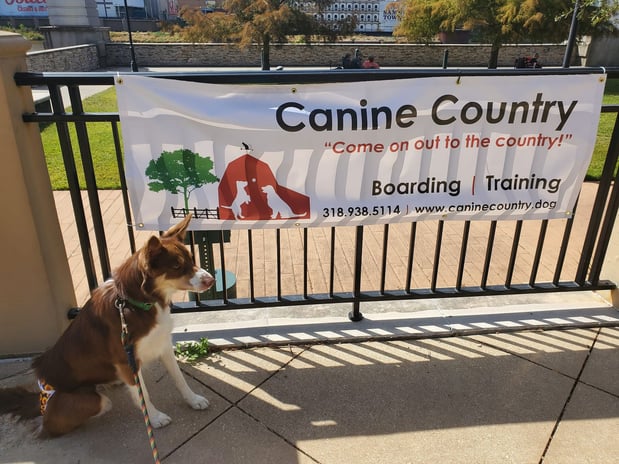 Images Canine Country