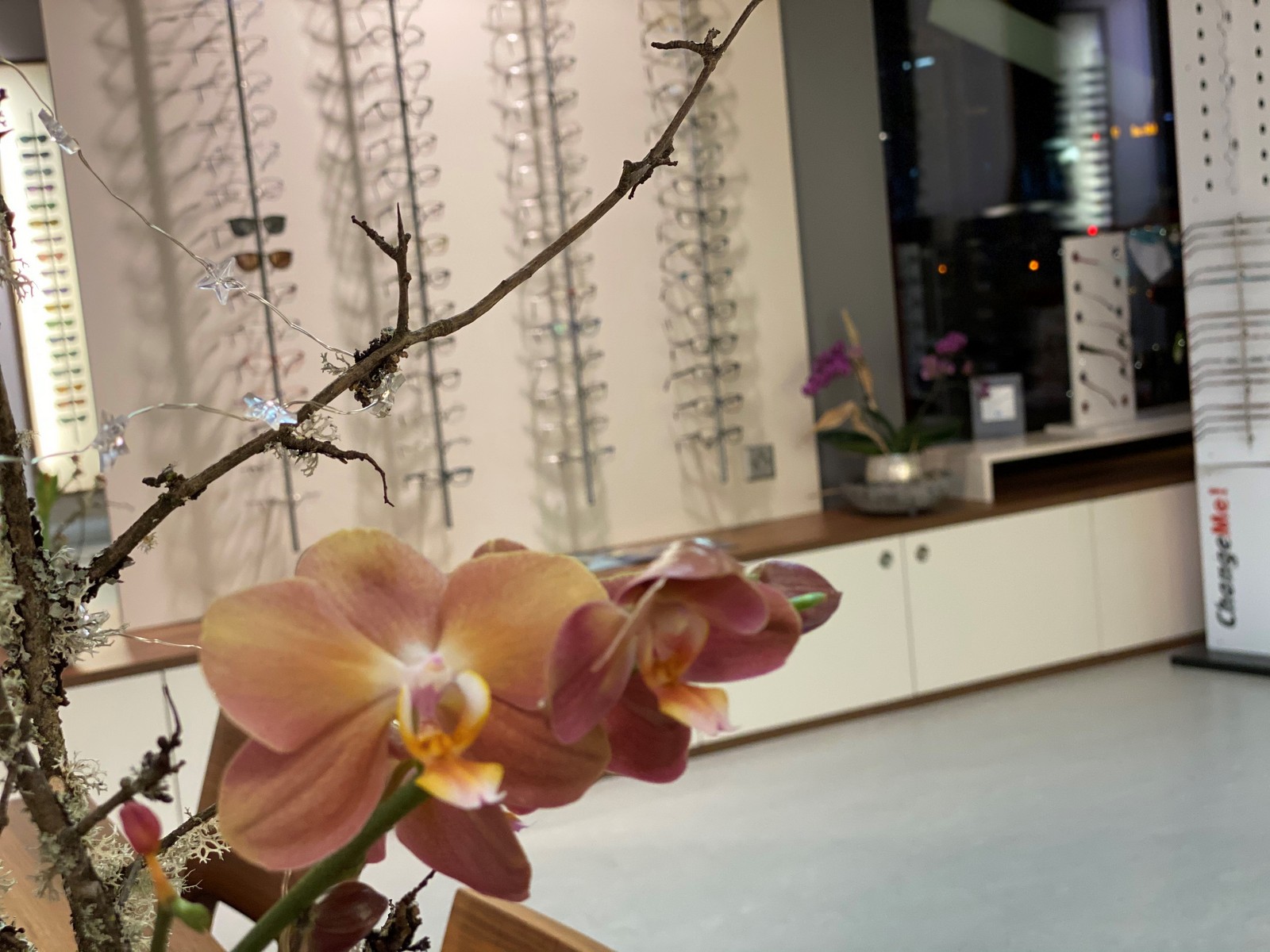 Bilder Rolli Optik AG