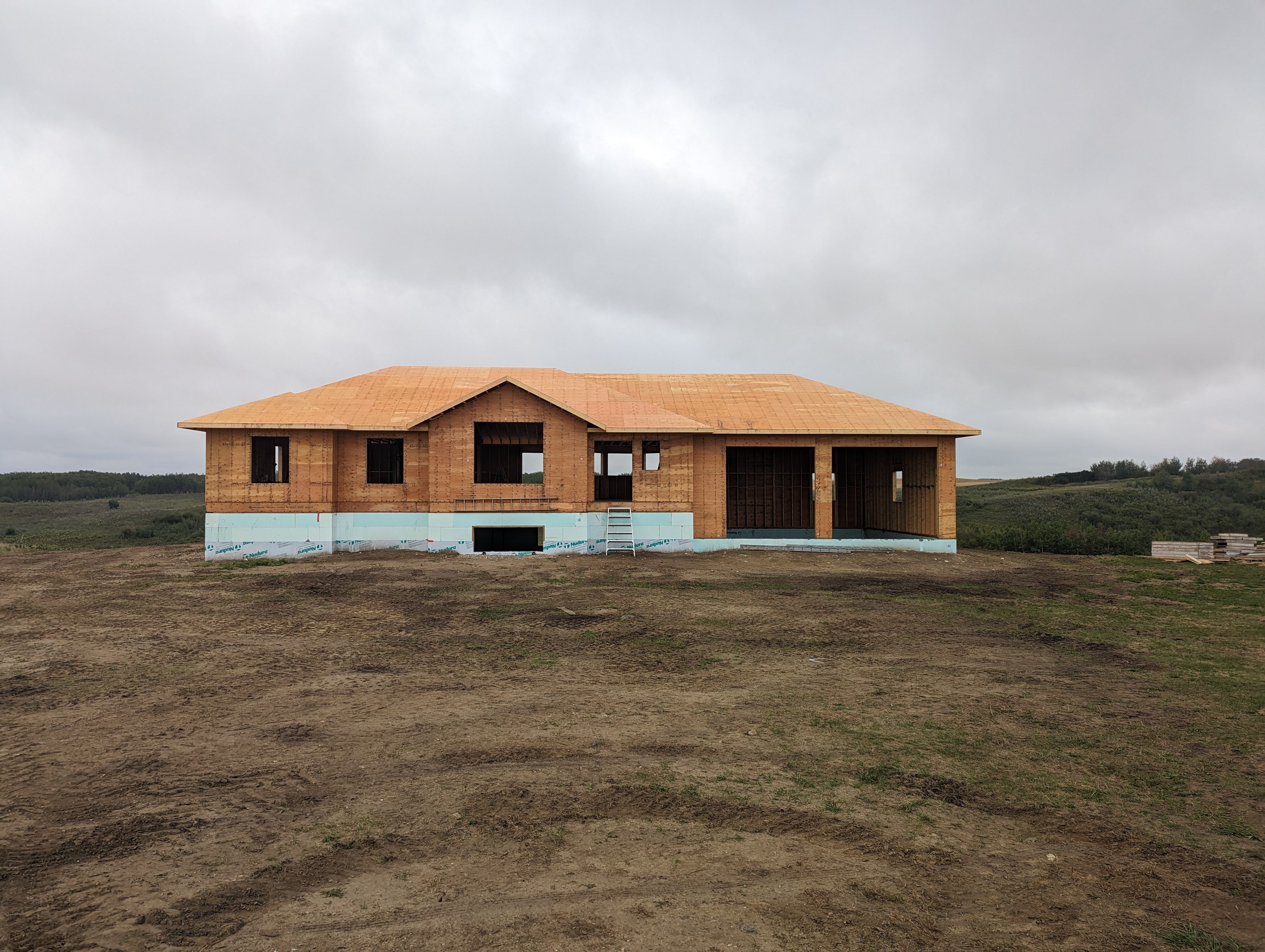 Images The Blue Spruce Builder
