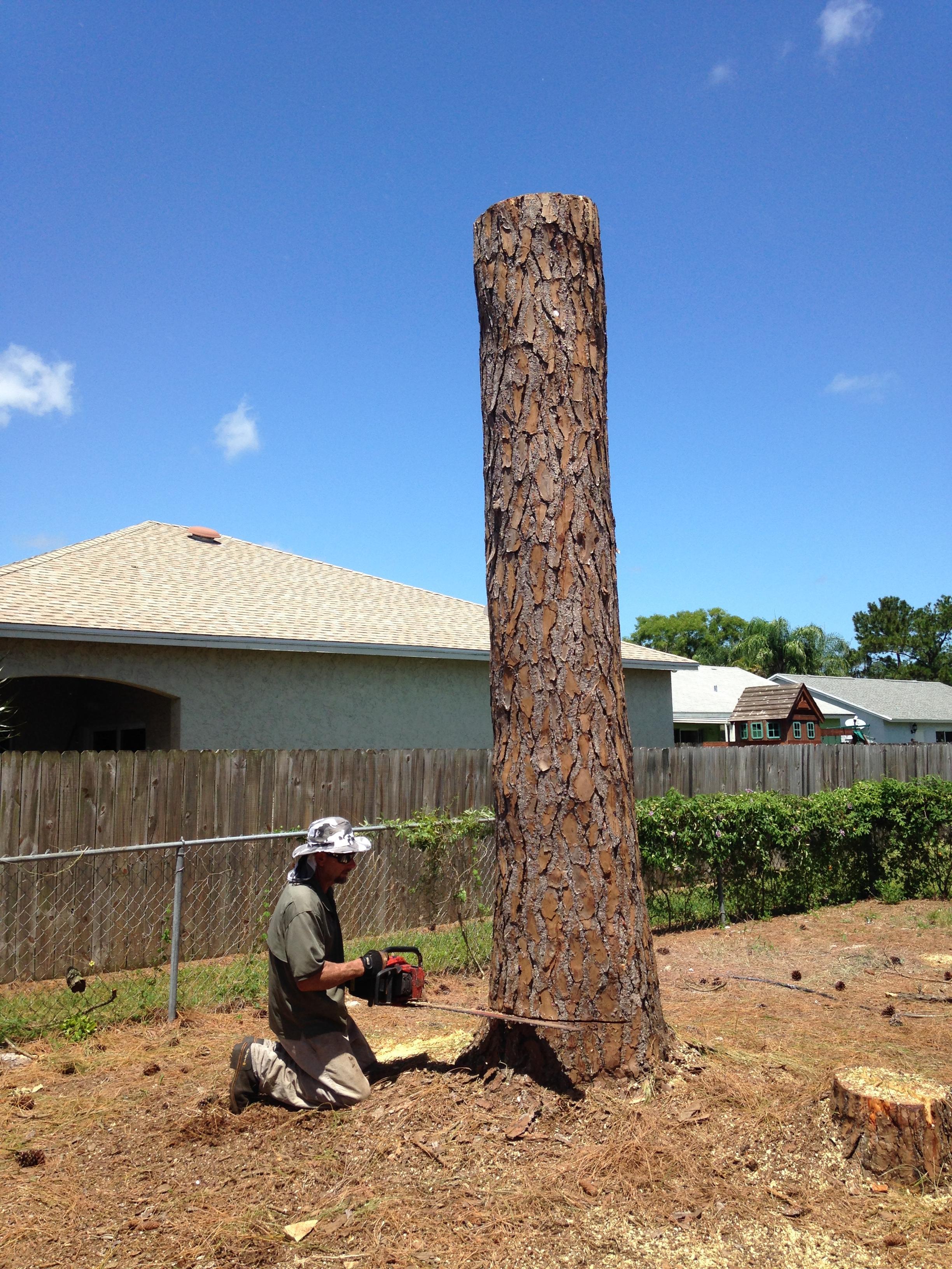 Arbor Craft Environmental Services, Llc