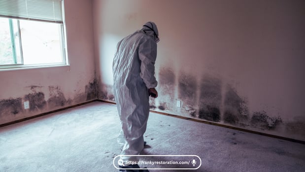 Images Mold Remediation Miami Lakes