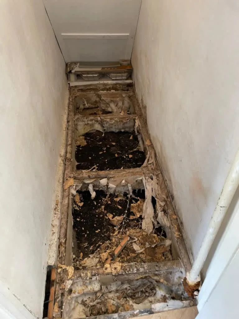 Images GET Damp Proofing Specialist