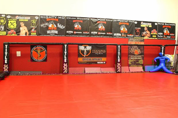 Images Aguirre's Fighting System