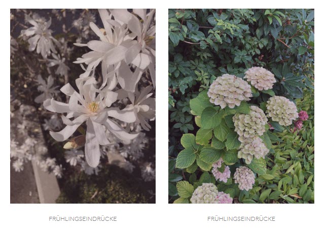 Swiss Gärten, Untere Heslibachstrasse 69 in Küsnacht ZH