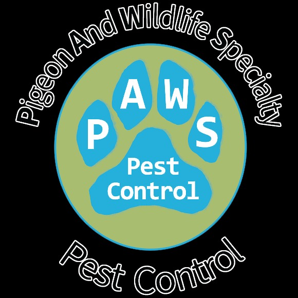 PAWS PC - Pigeon And Wildlife Specialty Pest Control - Buckeye, AZ - (602)772-7297 | ShowMeLocal.com