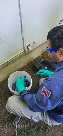 Images American Pest Control