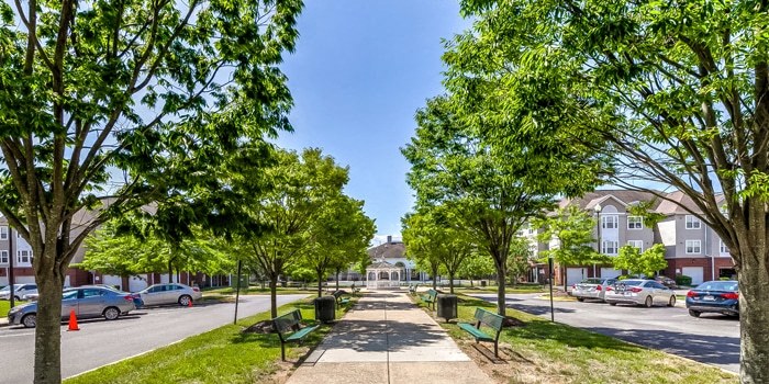 a picture of a park with trees and cars