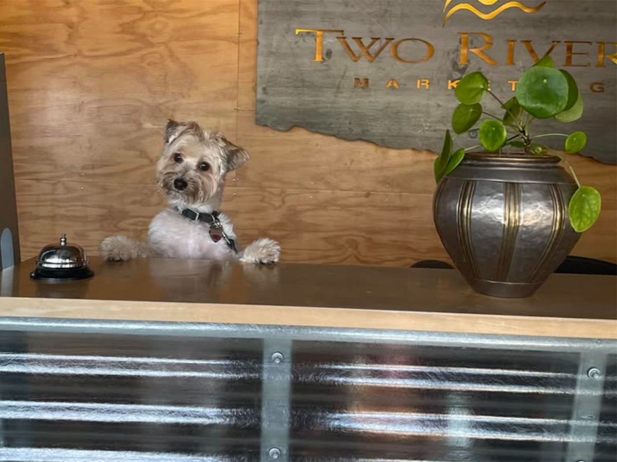 Two Rivers Marketing - Pet Friendly