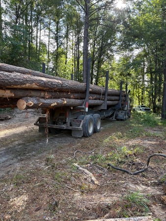 Images Northriver Timber Company