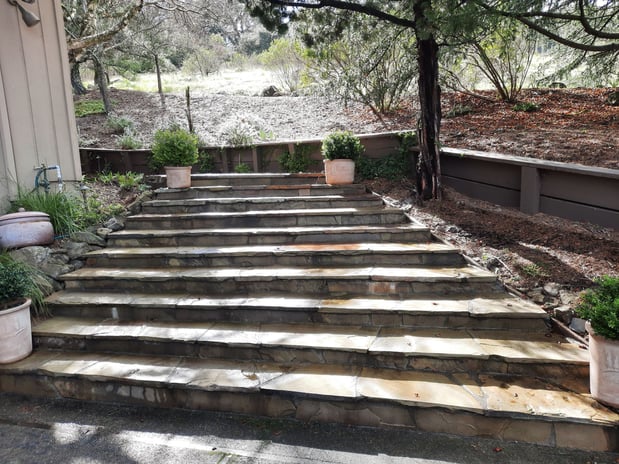 Images Paz Landscape