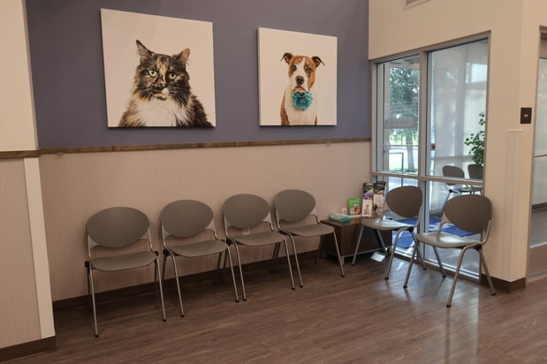 Images VCA Mainland Animal Hospital