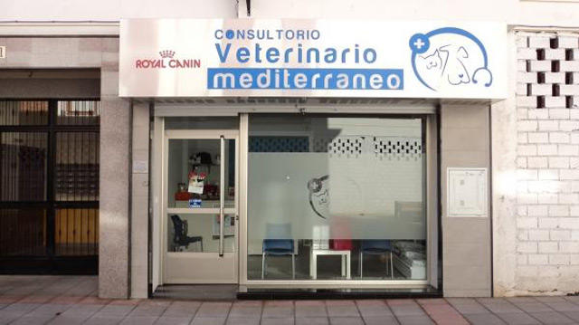 Images Clinica Veterinaria Mediterraneo