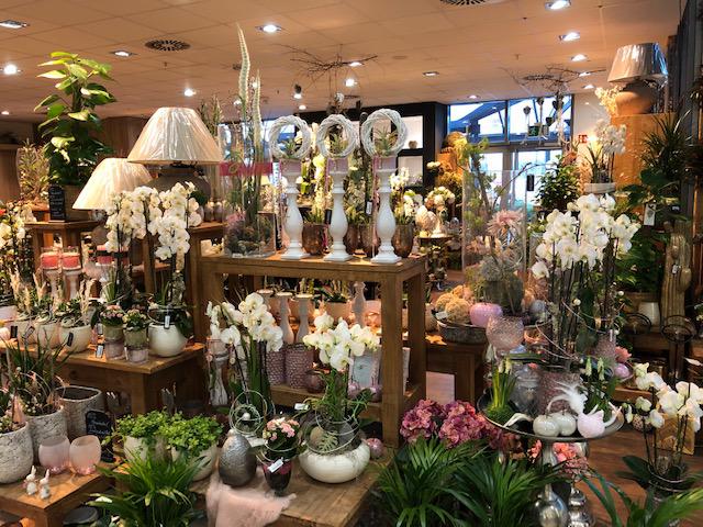 Kundenbild groß 6 Blumen Interfleur Floristik & Wohnaccessoires