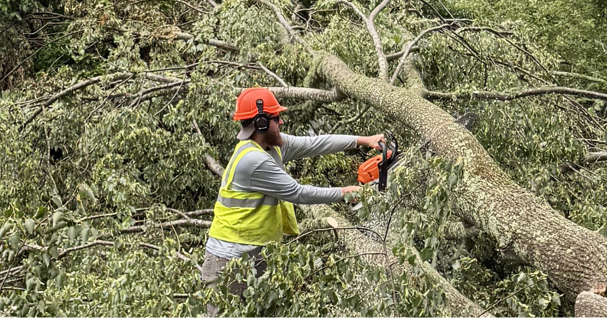 24/7 Emergency Tree Service in Ledyard, CT and Nearby