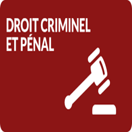 Me Louis-Michel Côté - Avocat Droit Criminel et Pénal - Fraude fiscale