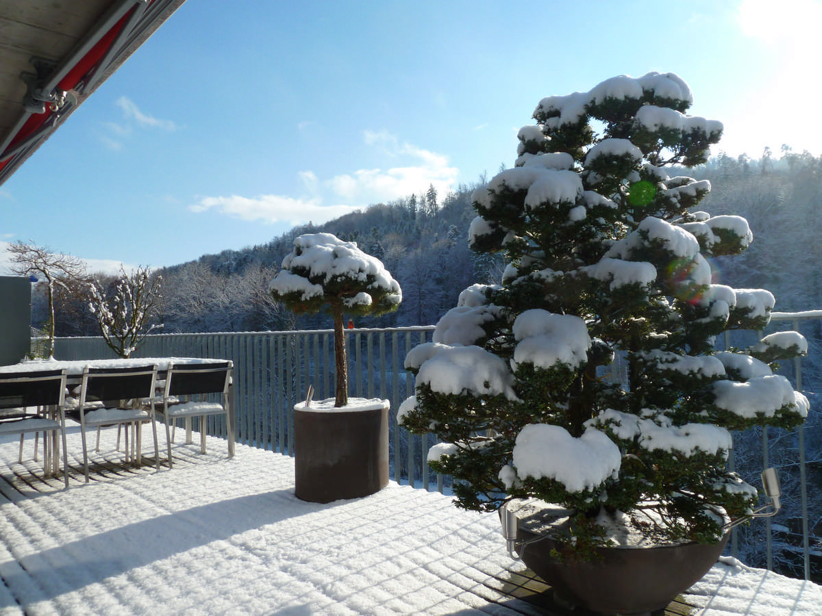 Silvedes AG, Bellevue in Brütten