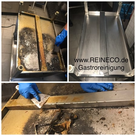 Bilder REINECO