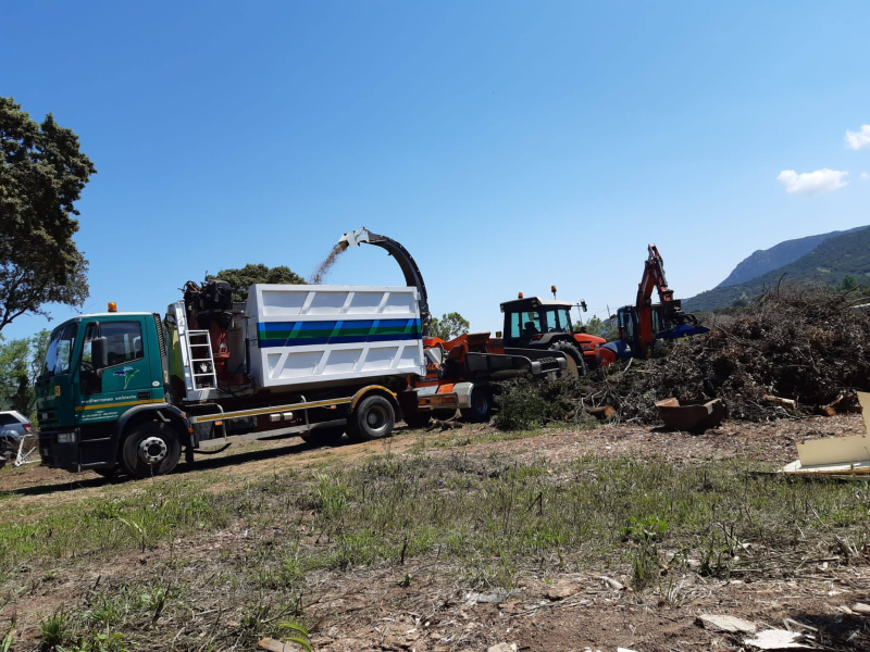 Images Mediterranea Ambiente