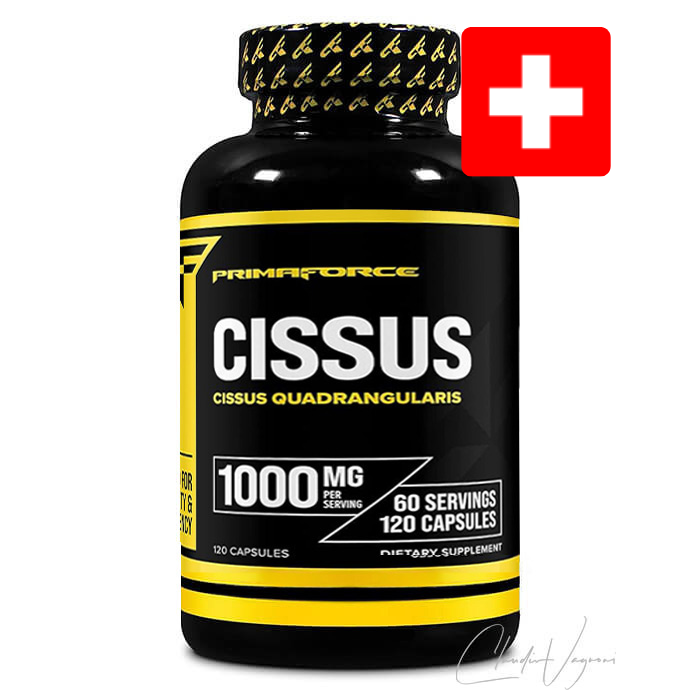 CISSUS QUADRANGULARIS 1000mg | Aufbau von Gelenken