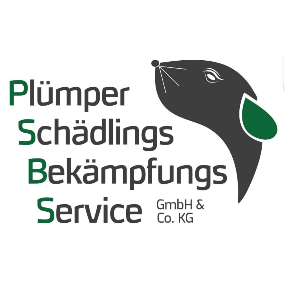 Plümper Schädlingsbekämpfungsservice GmbH & Co. KG Logo