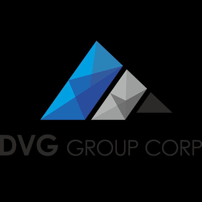 DVG GROUP CORP Logo