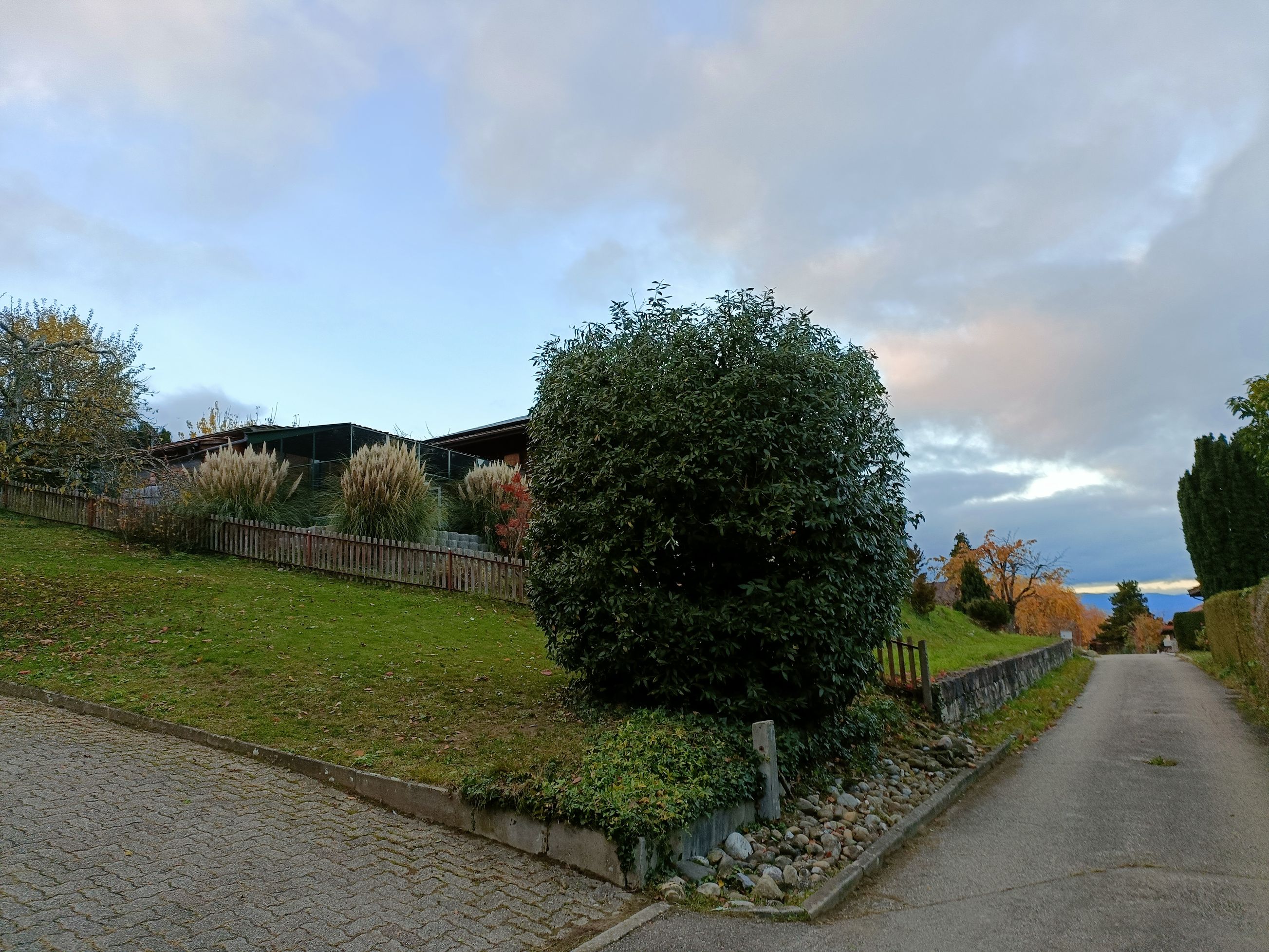 Bilder Mémoires d'Arbres