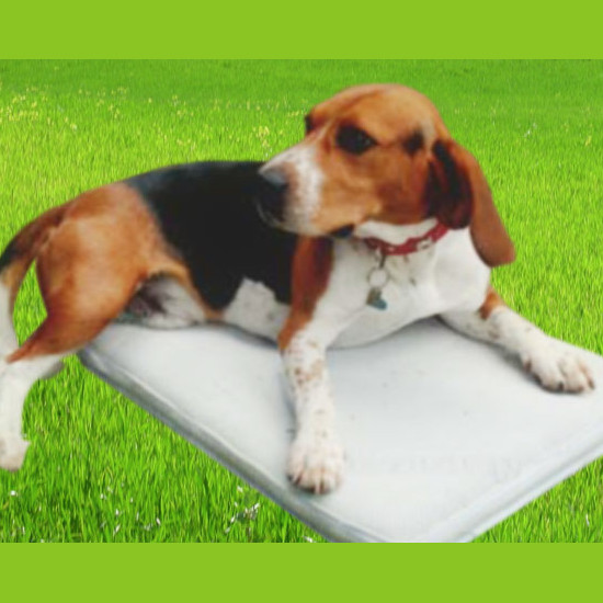 Images Ovattificio Fortunato