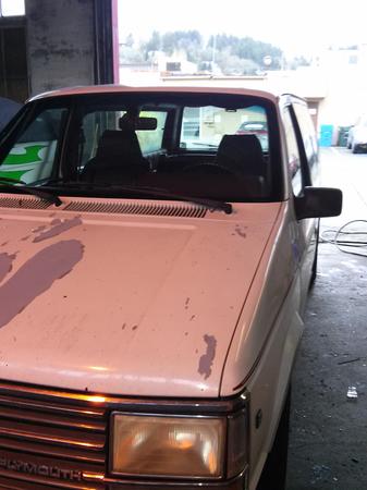 Images The Glass Guy