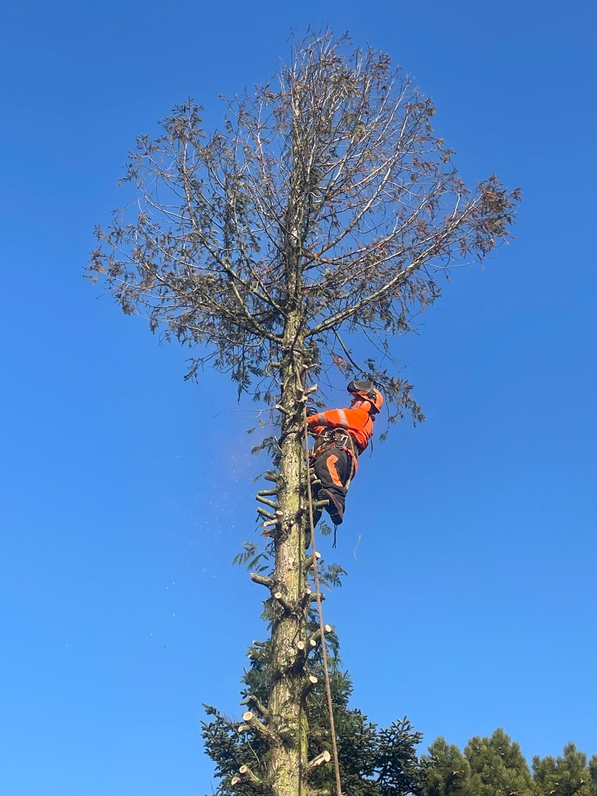 Rexhaj, Rosenhofstr. 21 in Enkenbach-Alsenborn