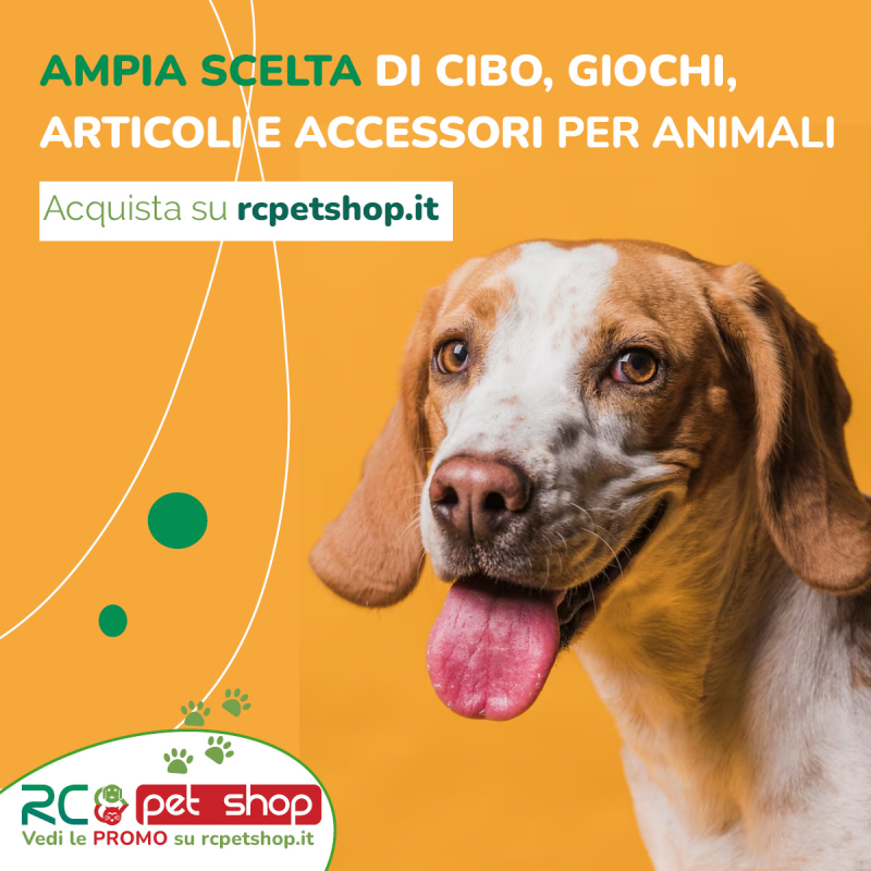 Images RC Pet Shop Lanciano