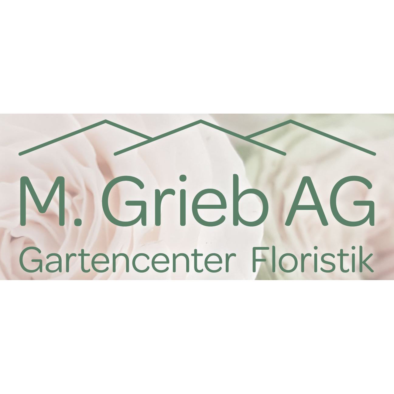 M. Grieb AG Logo