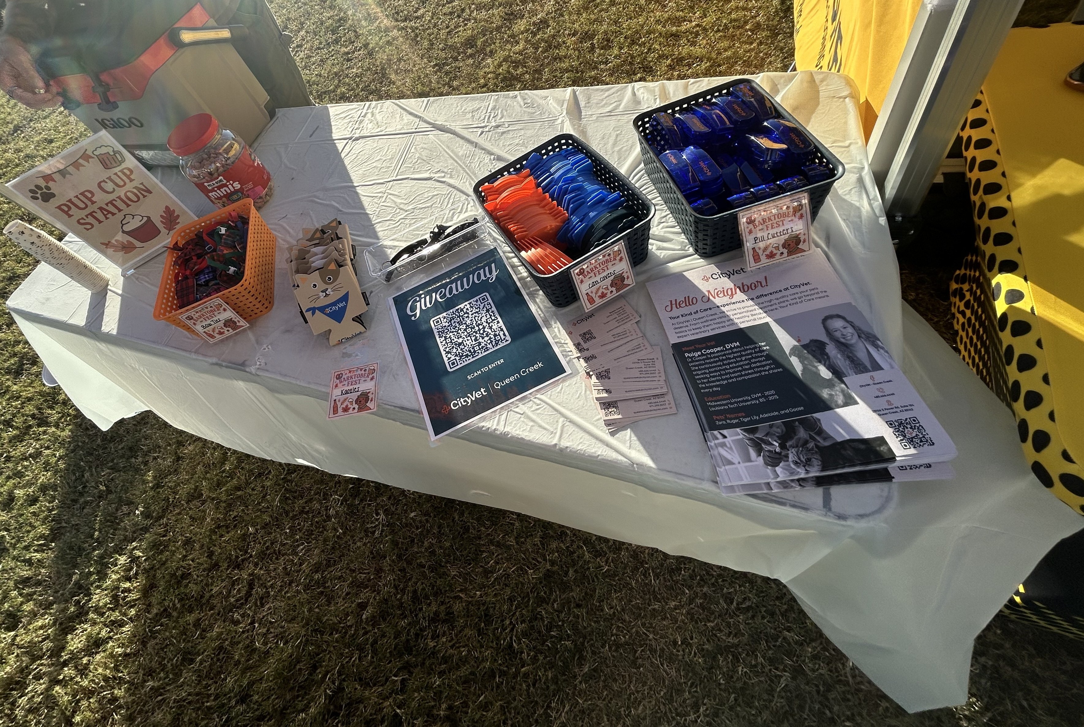 CityVet | Queen Creek in the community