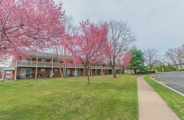 Images Country Manor Apartments