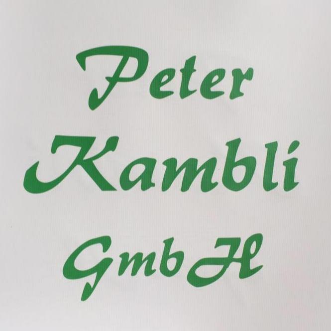 Peter Kambli GmbH in Grünwald Kreis München - Logo