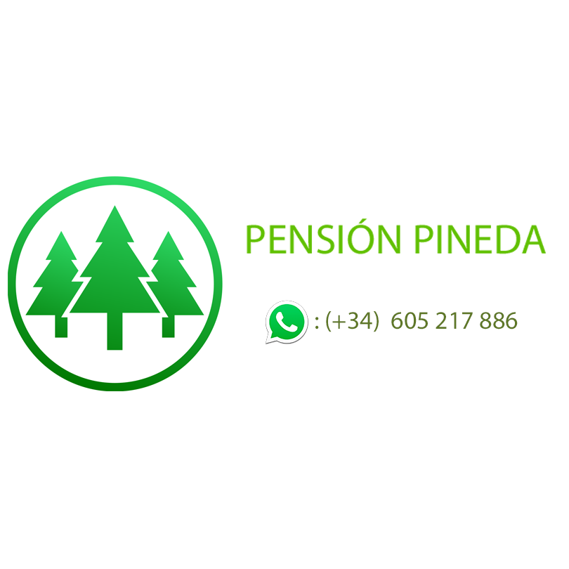 Pension Pineda Málaga