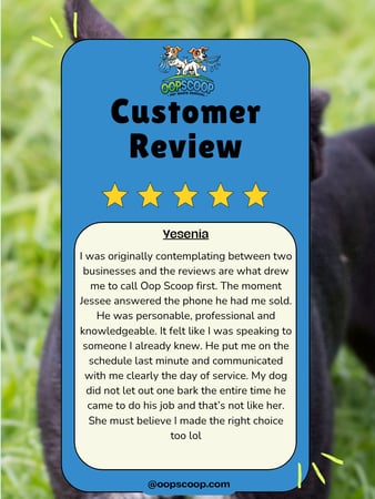 Images Oop Scoop Pet Waste Removal