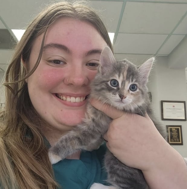 Images VCA Beacon Hill Cat Hospital
