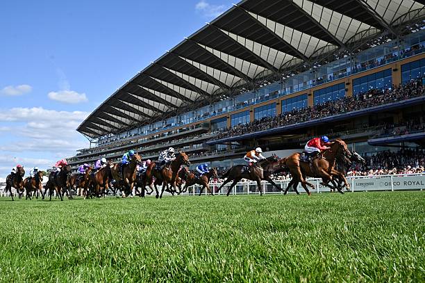 Images Browns Chauffeur Ltd