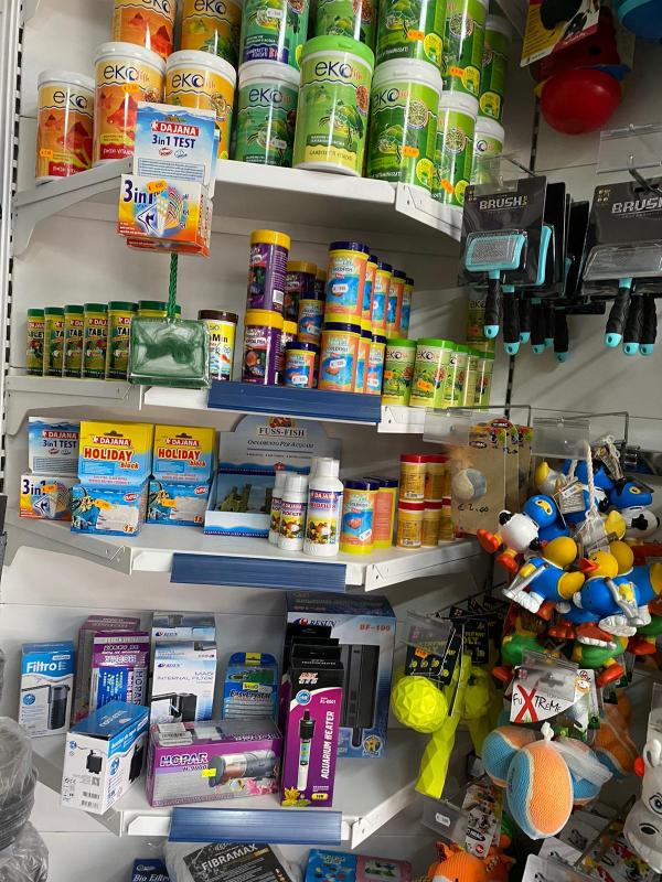 Images Il Mondo degli Animali