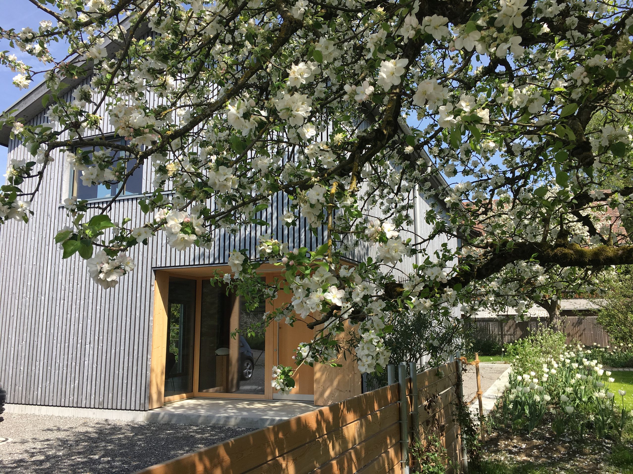 Altwegg blühende Gärten AG, Watt 12A in Freidorf TG