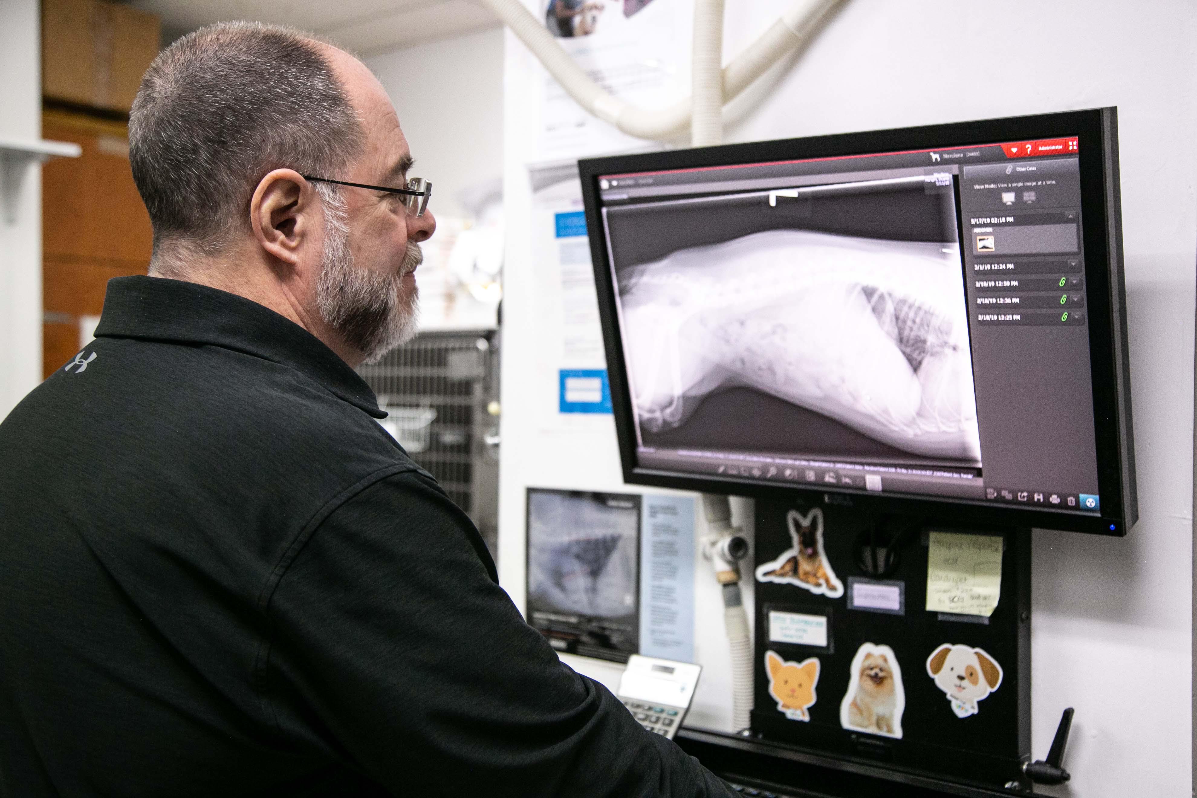 Parkville Animal Hospital is fully equipped with modern x-ray technology, which allows our medical team to non-invasively identify disease in the chest, abdomen, and musculoskeletal system.