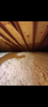 Images EcoLiving Services