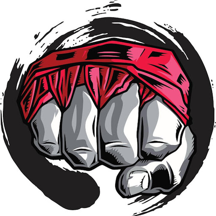 Images Iron fist mma